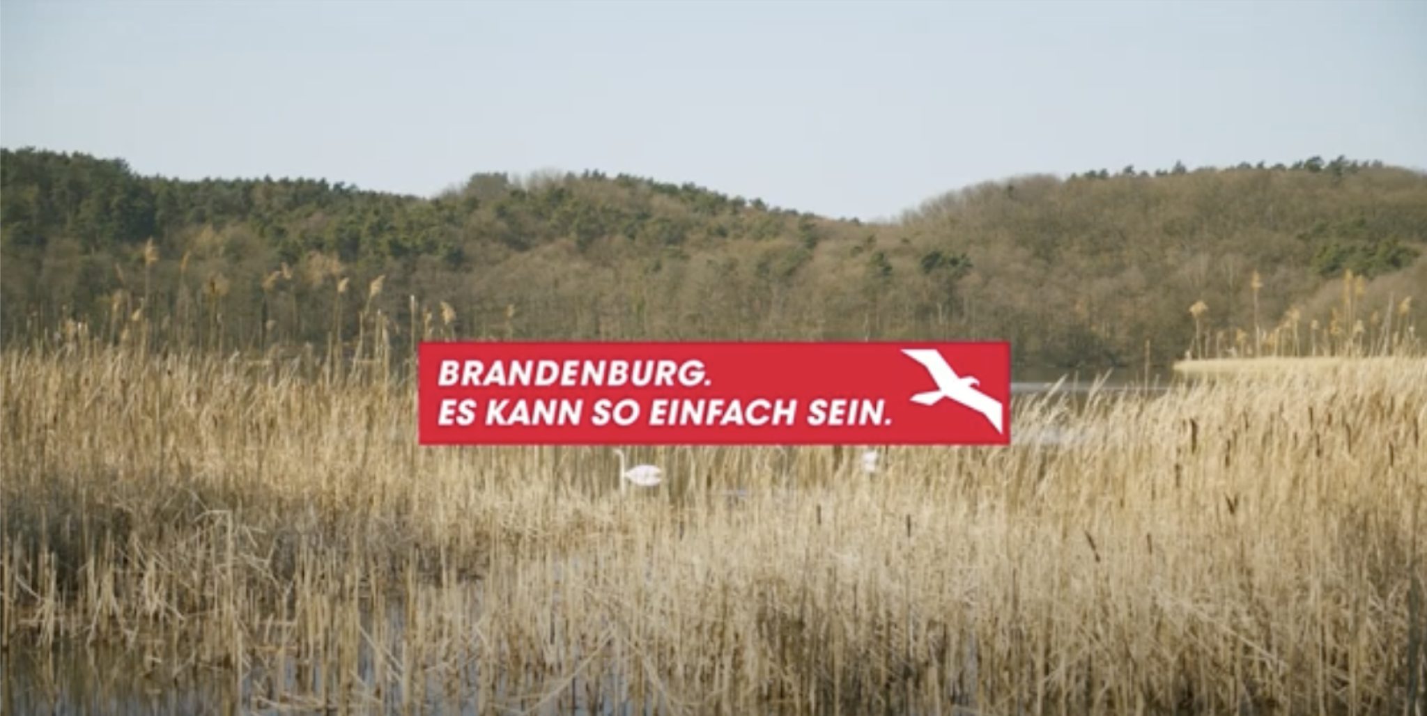 Ein See mit Schilf, im Hintergrund ein Schwan und ein Wald. Im Vordergrund eine Aufschrift "Brandenburg. Es kann so einfach sein"