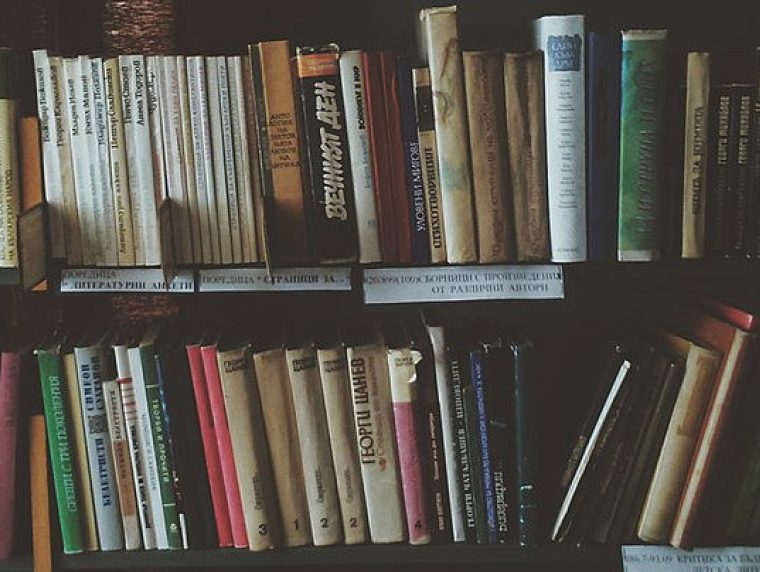Ein volles Bücherregal.