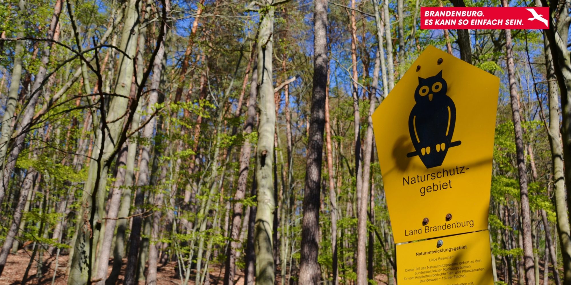 Ein Wald, in dem ein Schild mit der Aufschrift "Naturschutzgebiet" steht.