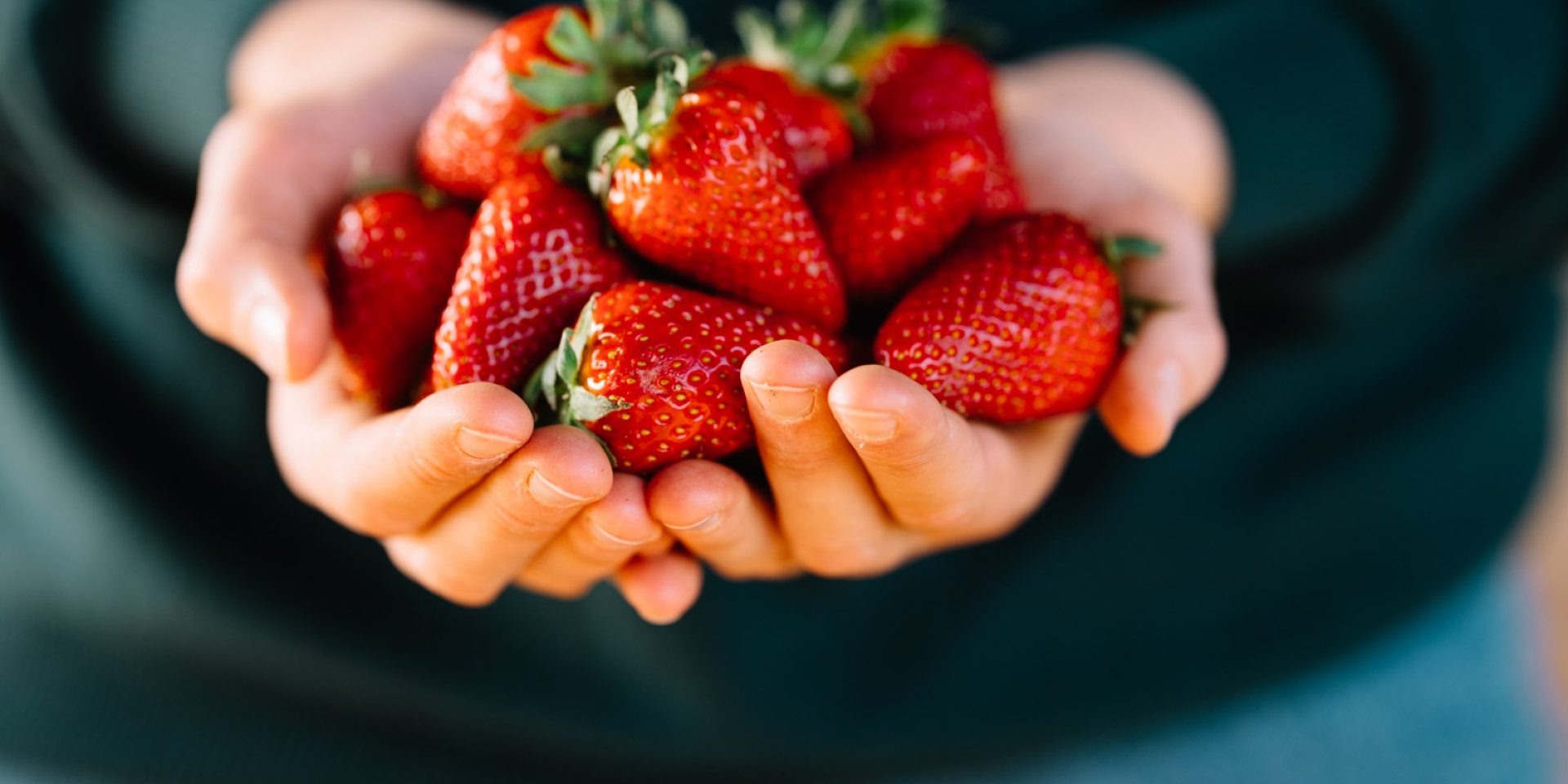 Eine Person hält mit den Händen zu einer Schale geformt Erdbeeren.