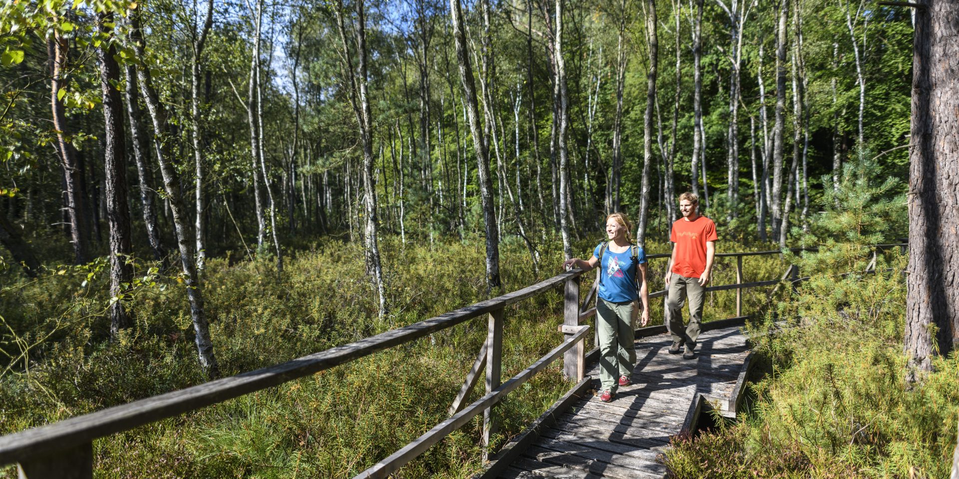 Zwei Personen laufen über einen Holzweg im Wald.