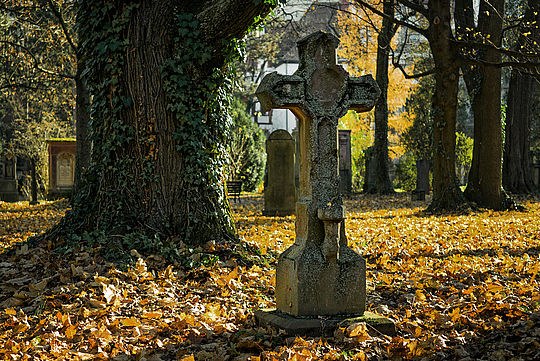 Ein Friedhof im Wald.